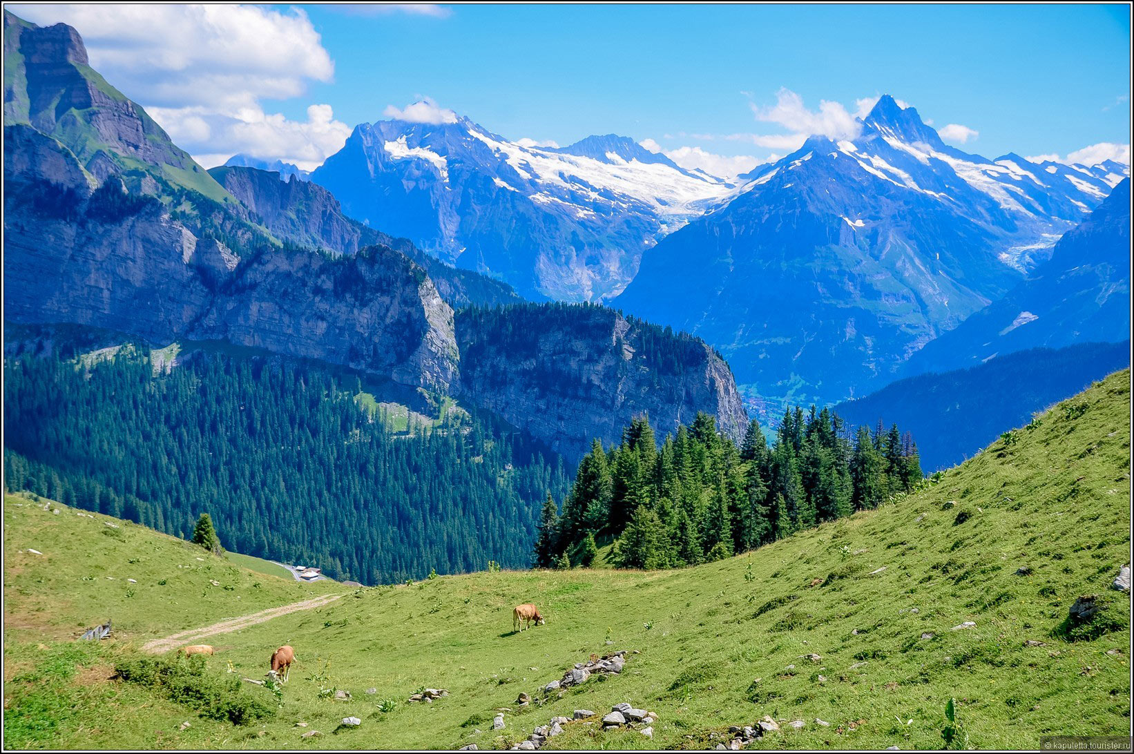 Schynige Platte (Wilderswil)
